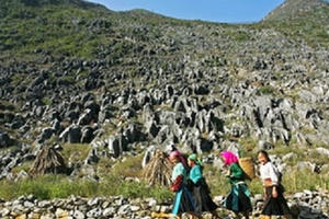 Hà Giang sẽ thu phí tham quan Cao nguyên đá Đồng Văn