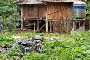 Sơn La: Đang trong lớp học, bé gái 4 tuổi bị “yêu râu xanh” bế ra ngoài hiếp dâm