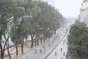 Ngắm hàng cổ thụ ven hồ Thủ Lệ trước giờ bị "khai tử" Ngắm hàng cổ thụ ven hồ Thủ Lệ trước giờ bị "khai tử"