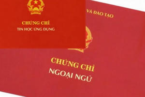 Bỏ chứng chỉ ngoại ngữ, Tin học đối với một số viên chức