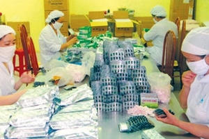 Cổ phần hóa ngành Y: Cần xem xét trước khi thực hiện đồng bộ?