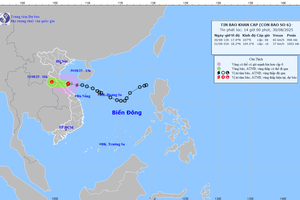 Thủ tướng Chính phủ ban hành Công điện tập trung ứng phó bão số 6