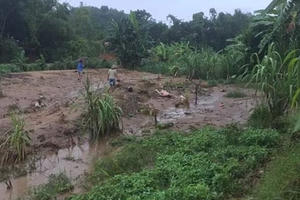 Tuyên Quang: 3 người chết do mưa lũ, nhiều tài sản bị mất trắng Tuyên Quang: 3 người chết do mưa lũ, nhiều tài sản bị mất trắng