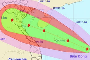 Chủ tịch UBND tỉnh Nam Định ban hành công điện khẩn ứng phó với cơn bão số 10