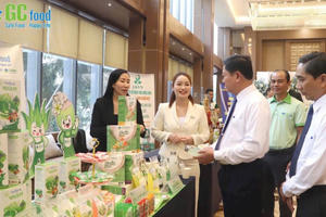 Startup Việt trong kỷ nguyên mới (Bài 2): Trụ cột đổi mới sáng tạo, chuyển đổi số