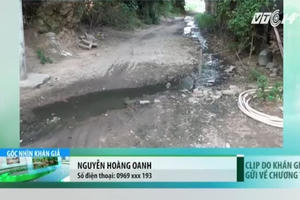 Trại nuôi bò "phóng uế" hành hạ dân