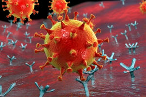 Một người có thể mắc Covid-19 bao nhiêu lần?