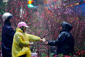 Không khí lạnh bao trùm miền Bắc, nhiều nơi rét đậm, rét hại dịp Tết Nguyên đán