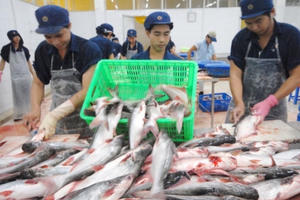 Slide - Điểm tin thị trường: Xuất khẩu cá tra sang Mỹ 'lao dốc' sau 8 tháng