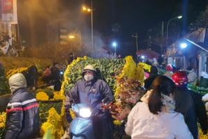 Chợ hoa Quảng An vẫn nhộn nhịp giữa đêm giá rét