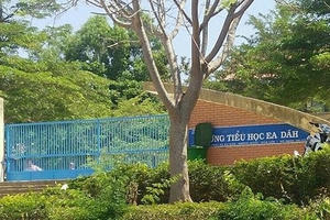 Giáo viên Tiểu học ở Đắk Lắk bị hành hung trước cổng trường