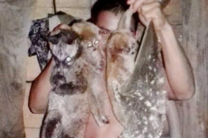 Điểm báo ngày 4/1/2017: Tàn sát thú rừng