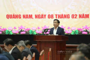 Tỉnh Quảng Nam có 443 người xin nghỉ hưu trước tuổi và nghỉ thôi việc
