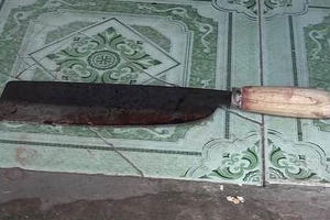 Con trai cầm dao bầu chém mẹ nhiều nhát rồi rạch bụng mình tự sát Con trai cầm dao bầu chém mẹ nhiều nhát rồi rạch bụng mình tự sát