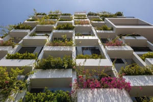 Hàng trăm bồn cây bọc bên ngoài, nhà Bắc Ninh khiến báo ngoại trầm trồ