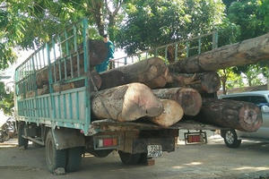 Kon Tum: Bắt giữ hơn 11 m3 gỗ không rõ nguồn gốc