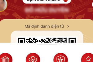 Có thể sử dụng tài khoản định danh để đi máy bay thay bằng các giấy tờ tuỳ thân khác