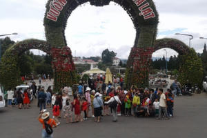 Lâm Đồng: Triệu tập đối tượng “cò đặc sản”, mang dao găm trong túi xách