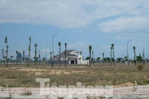 Vụ 'bán sỉ' 262 lô đất ở Phú Yên: Khởi tố 2 phó giám đốc sở và phó cục thuế tỉnh