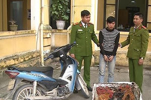 Thái Bình: Đối tượng bị truy nã vẫn thực hiện trót lọt 150 vụ trộm gia cầm