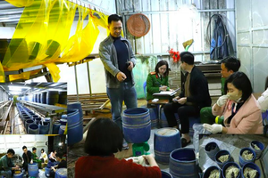 Khởi tố, bắt tạm giam chủ cơ sở sản xuất hàng nghìn kg giá đỗ ngâm chất cấm