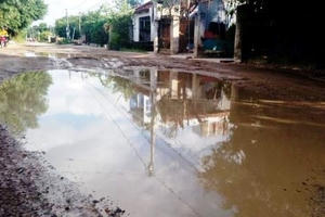 Bình Định: Nhiều tuyến đường “nát như tương bần”