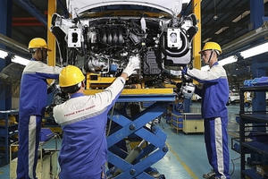 WB vui mừng vì một số kiến nghị chính sách được Chính phủ Việt Nam tiếp thu