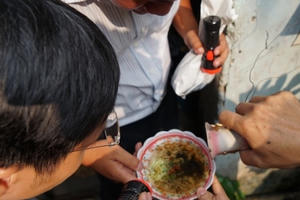 Tại sao các ca bệnh Zika chỉ xuất hiện ở phía Nam? Tại sao các ca bệnh Zika chỉ xuất hiện ở phía Nam?