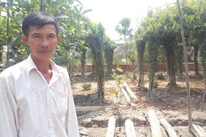 TP HCM: Xây chòi vịt cũng bị... khởi tố hình sự