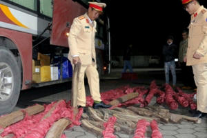 Bắt giữ xe khách chở 17 cột và 24 thanh gỗ trắc từ Gia Lai ra Hà Nội