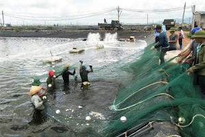 Đến 2025, thành lập mới 10.000 tổ chức kinh tế tập thể