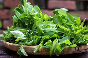 Những tác dụng phụ nguy hiểm của rau ngót