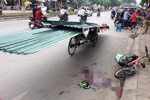 Phó Thủ tướng chỉ đạo làm rõ nguyên nhân vụ tai nạn cháu bé bị tôn cứa cổ