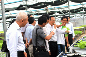 Rau sạch được gắn mã vạch