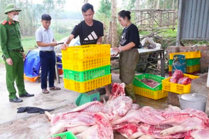 Thu giữ gần 800kg thịt lợn bốc mùi hôi thối chuẩn bị tung ra thị trường