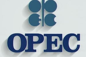 Đúng nhưng chưa đủ