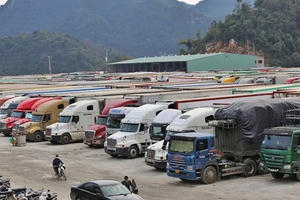 Thủ tướng ký công điện tháo gỡ vướng mắc trong triển khai Nghị định 46 về an toàn thực phẩm