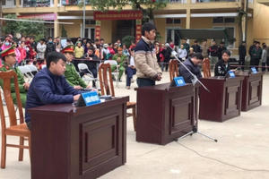 Hà Giang: Lĩnh 15 tháng tù vì chặt một cây nghiến rừng