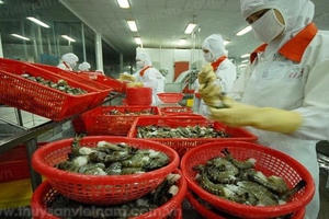 Sử dụng hóa chất cấm, nông sản Việt đang trả giá đắt!