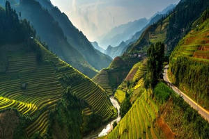 Mù Cang Chải đẹp ngất ngây mùa lúa chín