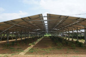 Bát nháo điện mặt trời Bát nháo điện mặt trời