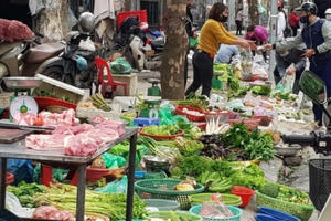 Cải tạo chợ dân sinh tại Hà Nội: Cần có cơ chế khuyến khích doanh nghiệp đầu tư Cải tạo chợ dân sinh tại Hà Nội: Cần có cơ chế khuyến khích doanh nghiệp đầu tư