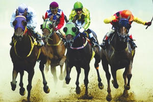 Trường đua ngựa: Dự án kinh doanh đặt cược