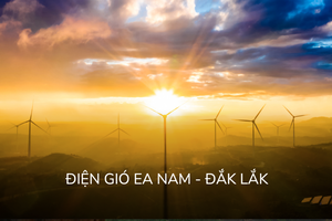 Điện gió Trung Nam Đắk Lắk 1 bị xử phạt do lỗi công bố thông tin