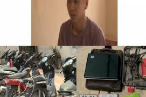 Thái Bình: Khởi tố đối tượng 9X gây ra hàng loạt vụ trộm cắp tài sản