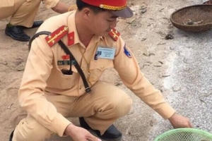 Dân mạng hết lời khen ngợi CSGT giúp dân nhặt tôm, cua bị đổ tràn trên quốc lộ