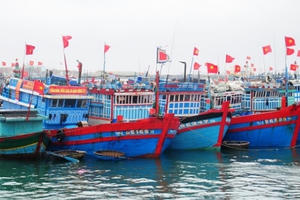 Quảng Ngãi nghiêm cấm tàu, thuyền ra biển hoạt động từ 20h tối 26/10