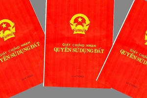 Không phải giấy đỏ nào cũng ghi tên cả gia đình