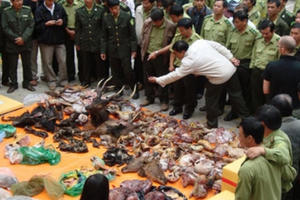 Truyền thông xã hội, báo chí trực tuyến nói không với làm hại động vật hoang dã