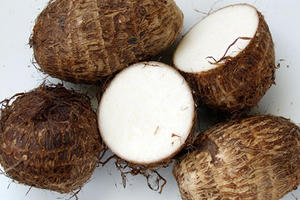 Khoai sọ, vị thuốc thần kỳ chữa trị u bướu, ung nhọt